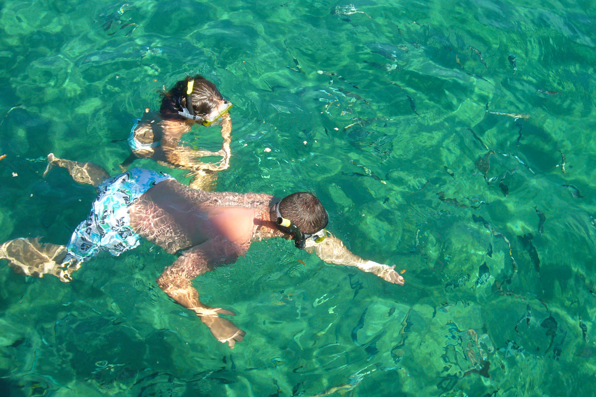 Faune & Flore en Corse en Méditerranée - Voilier Luckystar